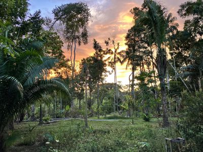 Sunset in the forest on the grounds of El Centro Inka Meraya.