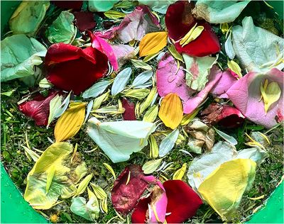 (min-width: 43.75rem) 50vw, 10vw