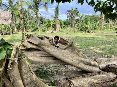 A child playing on tree trunks on the grounds of El Centro Inka Meraya.
