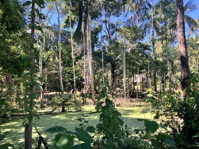 A small lake covered in moss on the grounds of El Centro Inka Meraya.