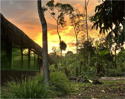 (min-width: 43.75rem) 50vw, 10vw